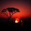 African tribal call and response Zulu Part I - 528 Hz Tuning