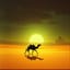Runaway Camel (Lyrics)