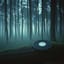 musique pour relaxation