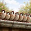 Die Vögel