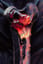 Embedding Jam (Ghost Mix)