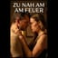 Zu Nah Am Feuer
