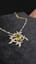 Le collier.
