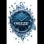 FREEZE THE TIME
