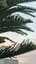 Kanavu Thendral (Dream Breeze)