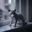 crying wolf
