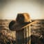 Lonely Cowboy