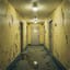 Yellow Walls Keep Watching