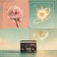 Four Seasons Girlfriend