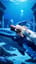 Moby Dick (Le Grand Bleu)