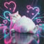 Ode To Kitty Belly