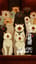 TIPS: MILO-1080の実験 part V : ネコの合唱団 Experiment Part V: The Cat Choir