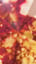 Corpus et anima (Gloria Remix)