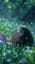 君の庭で迷う(Lost In Your Garden) v5.5