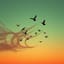 Birds needs air resistance...but