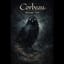 Corbeau : Messager Noir