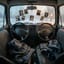 Backseat of December