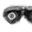 Eyes Wide Open