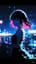 Midnight Echo