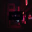 DOVI808 - The Realest Trapaaa