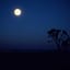 Songlines of Peace »