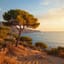 Pinos de Ibiza