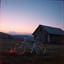 Country undertail
