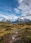 Patagonia 