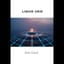 Liquid Grid (The Silence of Gold)