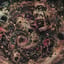 Velvet Teeth (Extraction Mix)