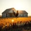 Remix Me: Chicken Facts created w… x Country Living (Mashup)