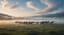 Одинокий табунщик / The Lone Herder
