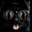 Still Love It (meowmix)