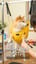柴犬の爪切り Shiba Inu’s pride