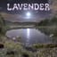 Lavender (라벤더)