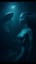 I Know you 🦈